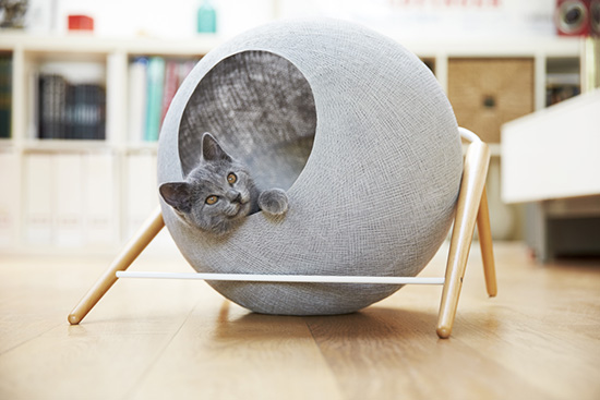 cat Furniture
