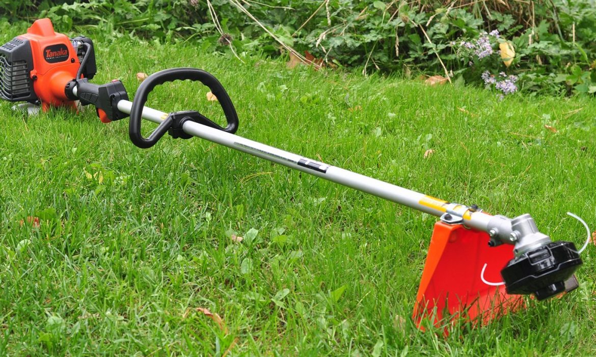 Choosing the right Weed Eater for your lawn ...